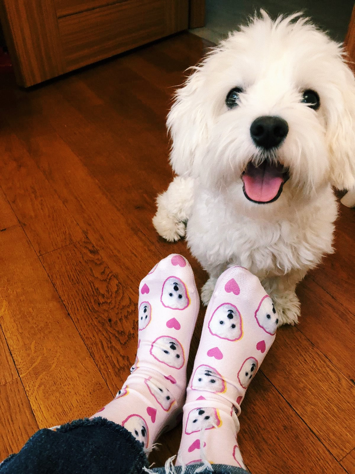 kişiye özel tasarım çorap ve köpek